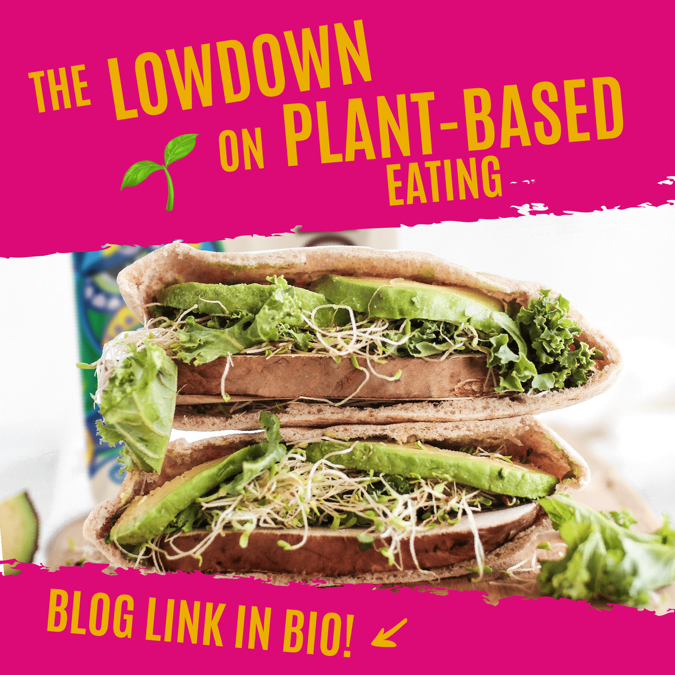 Plant Based Eating: The Lowdown - Boundless Activated Snacking